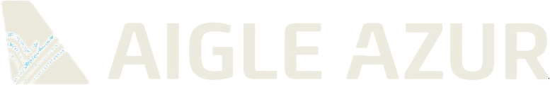 Aigle Azur Virtual, partner virtual airline